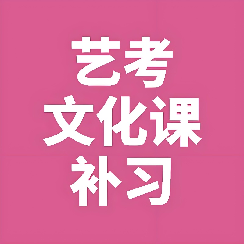 藝考文化課輔導(dǎo)