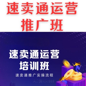 速賣通運(yùn)營推廣班