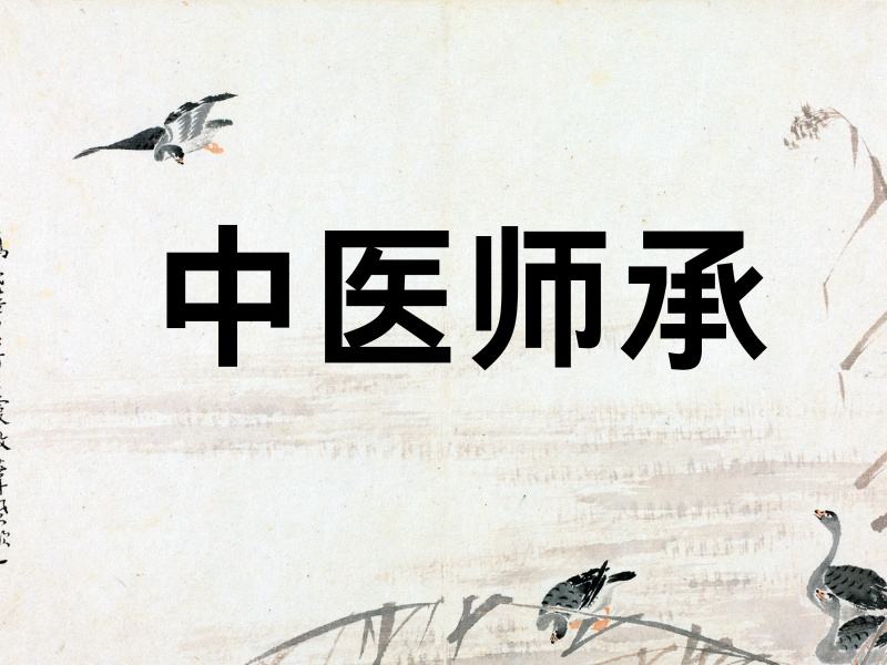 2025 山東學(xué)中醫(yī)師承什么流程？中醫(yī)師承培訓(xùn)前三排名一覽